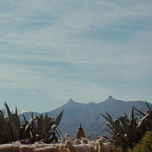 Bilder This Is Not A Burial, It's A Resurrection