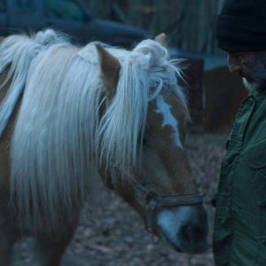 Bilder Vangelis Mourikis