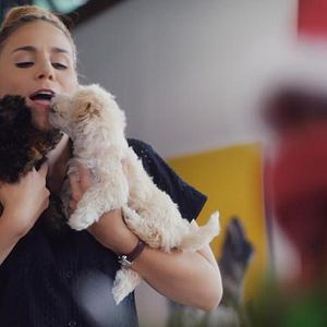 Bilder Mein Haustier ist ein Star