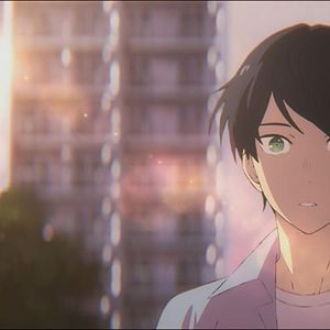 Bilder Josie, der Tiger und die Fische