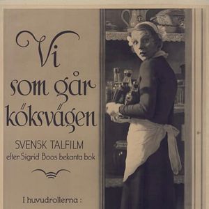 Bilder Kammerkätzchen