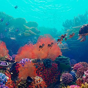 Bilder Shorty und das Geheimnis des Zauberriffs