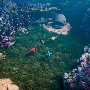 Bilder Shorty und das Geheimnis des Zauberriffs