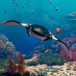 Bilder Shorty und das Geheimnis des Zauberriffs