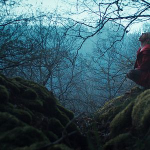 Bilder Hunted - Waldsterben