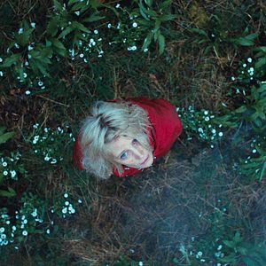 Bilder Hunted - Waldsterben