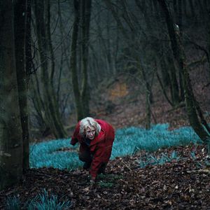 Bilder Hunted - Waldsterben