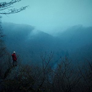 Bilder Hunted - Waldsterben