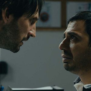 Bilder Bogdan Farcas