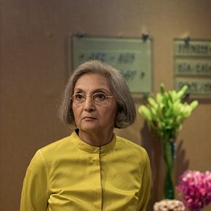 Bilder Searching For Sheela