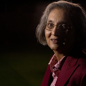 Bilder Searching For Sheela