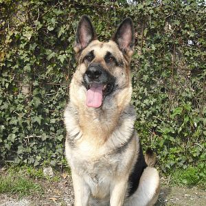 Bilder Inoubliable Annabelle