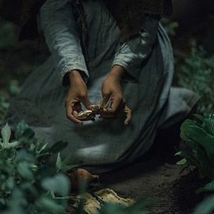 Bilder The Underground Railroad