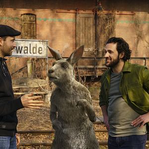 Bilder Dimitrij Schaad