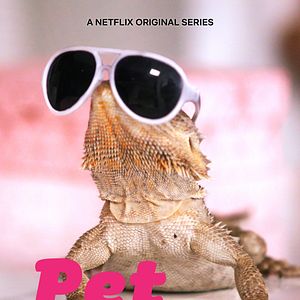 Bilder Mein Haustier ist ein Star