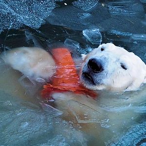 Bilder Everything Will Change