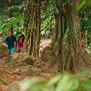 Bilder A Summer To Remember