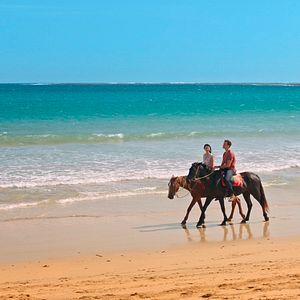 Bilder A Summer To Remember