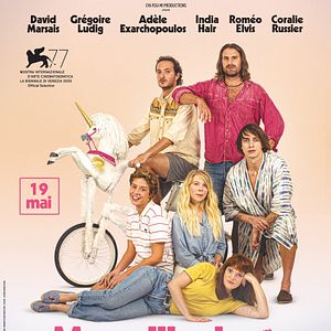 Bilder Eine Fliege kommt selten allein