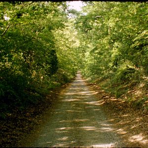 Bilder Quattro strade