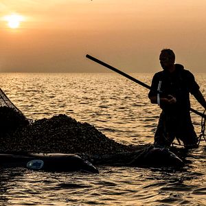 Bilder Der Atem des Meeres