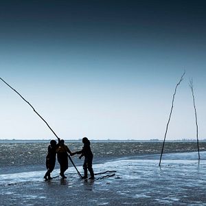 Bilder Der Atem des Meeres