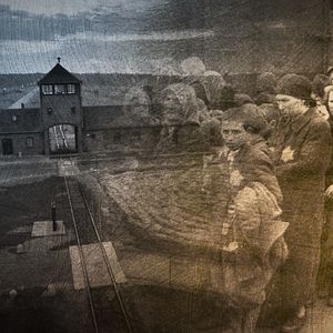 Bilder Krieg und Holocaust - Der deutsche Abgrund