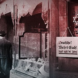 Bilder Krieg und Holocaust - Der deutsche Abgrund