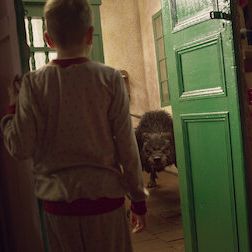 Bilder Heimgesucht: Unglaubliche Zeugenberichte aus Lateinamerika