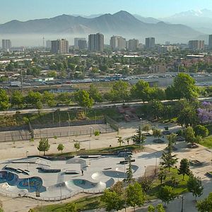 Bilder Los Reyes - Königliche Streuner