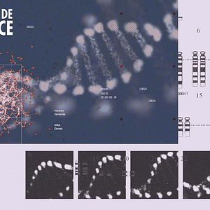 Bilder In Search of Greatness