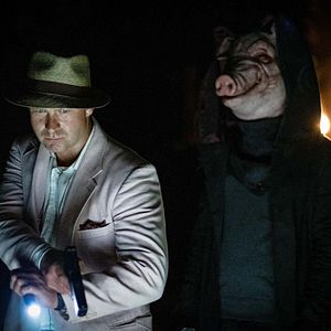 Bilder Dan Petronijevic