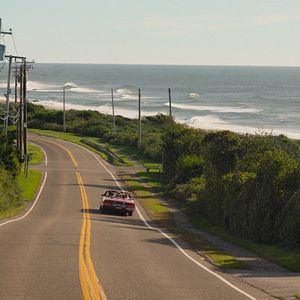 Bilder Die Hochzeit meines Bruders