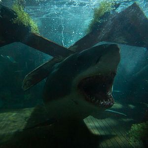 Bilder Great White - Hol tief Luft.