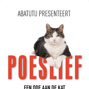 Bilder Katzenliebe: Eine Hommage an Katzen