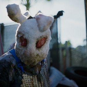 Bilder The Forever Purge