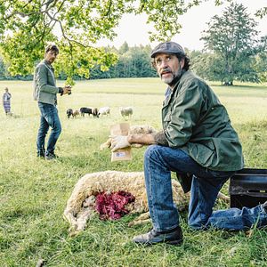 Bilder Reiterhof Wildenstein - Sprung ins Leben