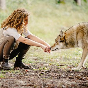 Bilder Reiterhof Wildenstein - Sprung ins Leben