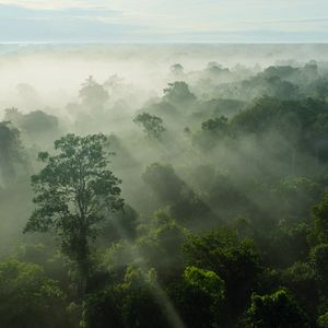 Bilder Breaking Boundaries: Die Wissenschaft hinter "Unser Planet"