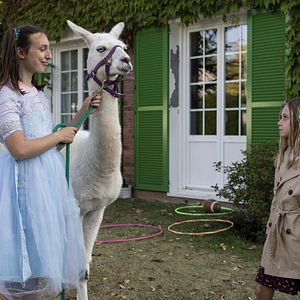 Bilder Le Sens de la famille