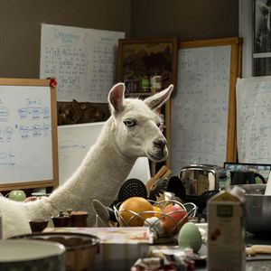 Bilder Le Sens de la famille