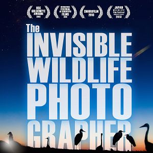 Bilder The Invisible Wildlife Photographer