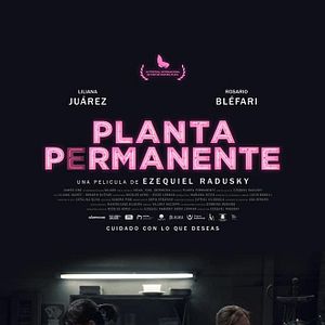 Bilder Planta permanente