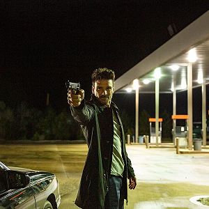 Bilder Into the Ashes