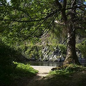 Bilder The Amber Light - Ein Whisky-Roadmovie