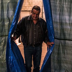 Bilder Frank Lammers