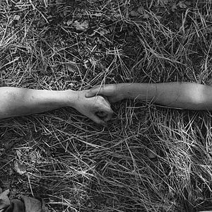 Bilder The Painted Bird