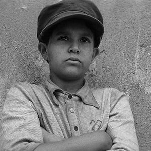 Bilder The Painted Bird