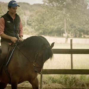 Bilder Florian Hessique