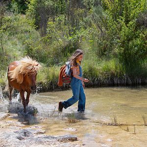 Bilder Elisa de Lambert